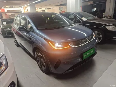 2025 BYD Dolphin Smart Drive Edition 420km Freedom Version, фото 4, лот 10259750