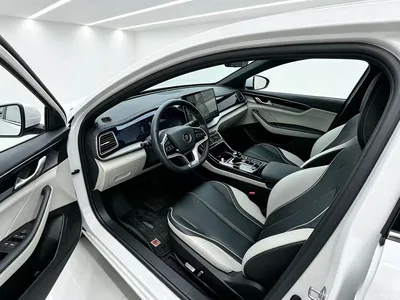 2021 BYD Qin PLUS DM-i 120KM Flagship, фото 4, лот 11175477