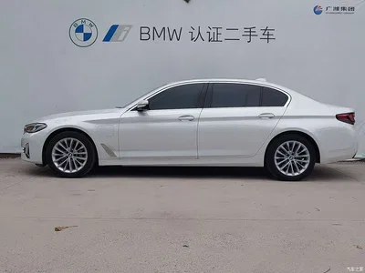 2021 BMW 5 Series New Energy 535Le Luxury Package, фото 3, лот 10474158
