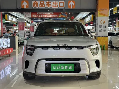 2026 smart Genie #5 Model 252km Standard Edition, фото 2, лот 10342975
