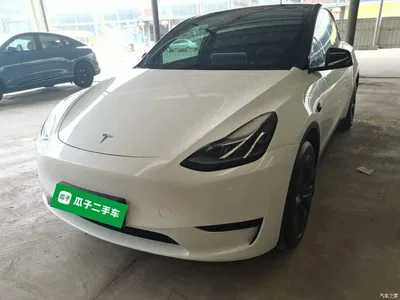 2024 Tesla Model Y Rear-Wheel Drive Version, фото 1, лот 11143872