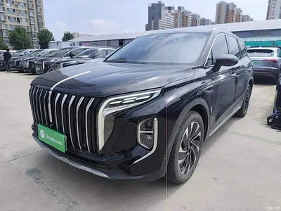 2024 Hongqi HS7 PHEV 2.0T PHEV 4WD Flagship Edition 6-seater, фото 1, лот 10289436