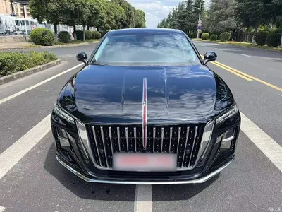 2025 Hongqi H5 1.5T DCT Flag Rhythm 500,000 Units Memorial Edition, фото 3, лот 10416474