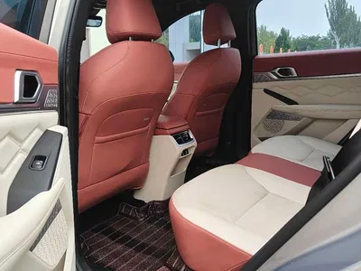 2022 Haval Shenshou 1.5T Intelligent Premium Edition, фото 4, лот 10837950