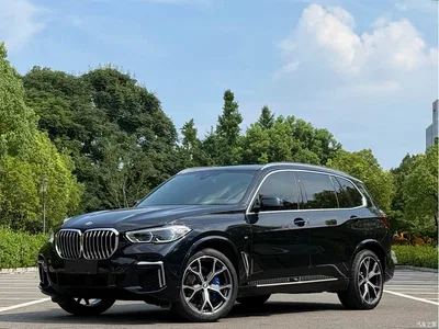 2022 BMW X5 Facelift xDrive 40Li M Sport Package, фото 1, лот 10237729