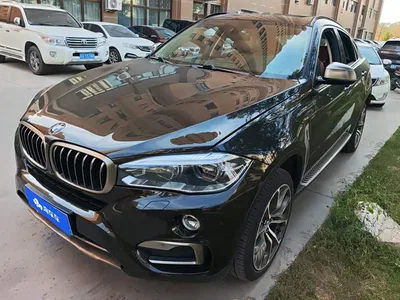 2017 BMW X6 xDrive35i Premium, фото 1, лот 10450448