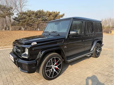 2016 Mercedes-Benz G-Class AMG Model AMG G 63 Edition 463, фото 1, лот 10364134