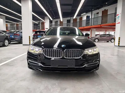 2020 BMW 5 Series New Energy 530Le Range Upgrade Luxury Package, фото 2, лот 11547680