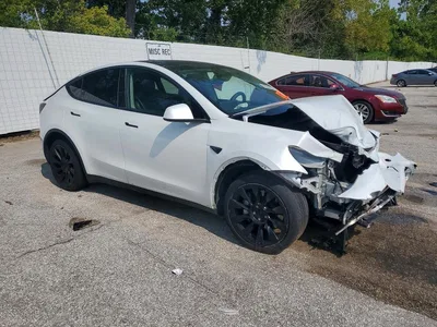 2023 TESLA MODEL Y, фото 4, лот 10852467
