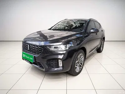 2017 WEY VV5 2.0T Super Luxury Model, фото 2, лот 10615576