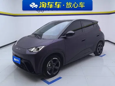 2023 BYD Seagull Freedom Edition, фото 1, лот 11017287