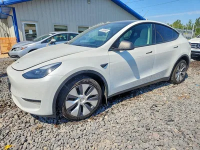 2024 TESLA MODEL Y, фото 1, лот 10677743