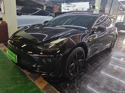 2022 Tesla Model 3 Model Rear-Wheel Drive Version, фото 2, лот 10369510