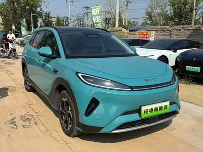 2025 BYD Hai Shi 05 EV 520KM Smart Navigation Edition, фото 1, лот 10273277