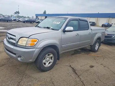 2004 TOYOTA TUNDRA SR5, фото 1, лот 10981637