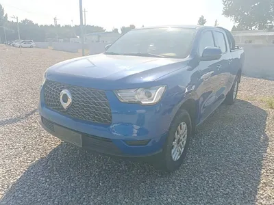 2020 Great Wall Pao Model 2.0T Commercial Automatic Diesel 2WD Elite Long Bed GW4D20M, фото 2, лот 11460702