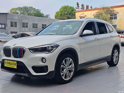 2018 BMW X1 sDrive20Li Leading Model, фото 1, лот 10464930
