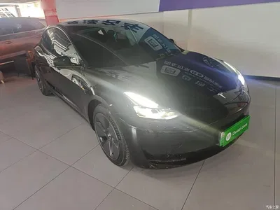 2022 Tesla Model 3 Model Rear-Wheel Drive Version, фото 4, лот 10369587