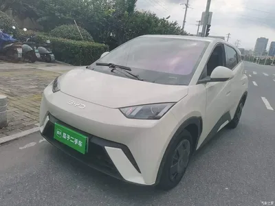 2024 BYD Seagull Glory Edition 305km Vitality Edition, фото 2, лот 11512794