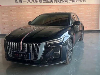 2024 Hongqi H5 2.0T Automatic Smart Connect Flag Smooth Edition, фото 1, лот 10434899