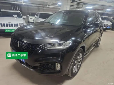 2018 WEY VV6 2.0T 2WD Flagship China V, фото 1, лот 11133722