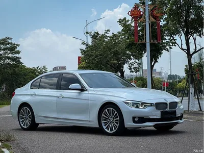 2019 BMW 3 Series 320Li Fashion Type, фото 3, лот 11579142