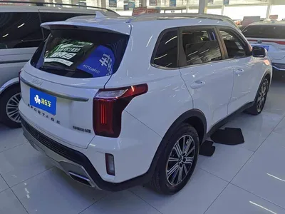 2021 Kia Sportage Ace 2.0L Brilliant Edition, фото 3, лот 10449254
