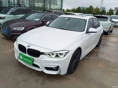 2017 BMW 3 Series 320Li Fashion, фото 1, лот 10457507