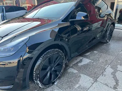 2024 Tesla Model Y Rear-Wheel Drive Version, фото 3, лот 11203096