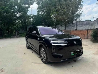 2026 Denza N8L Model Prestige Edition, фото 3, лот 10356839