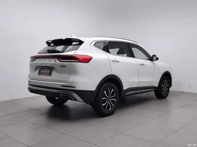 2021 Haval H6 National Trend Edition 1.5T Automatic Urban Edition, фото 2, лот 10283756