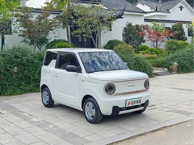 2023 Geely Galaxy Panda Mini 200km Endurance Bear, фото 3, лот 10429358