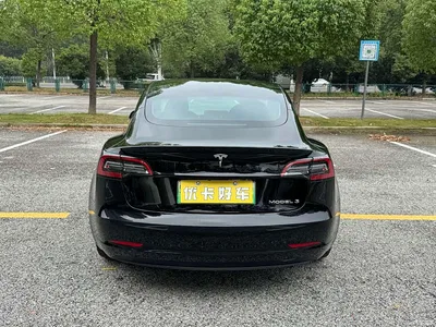 2021 Tesla Model 3 Standard Range Rear-Wheel Drive Upgrade 3D6, фото 3, лот 11131730