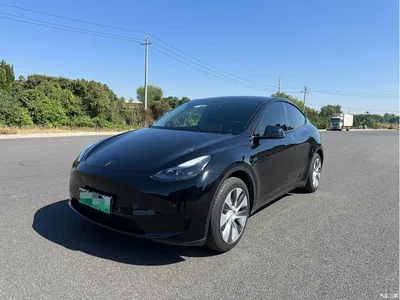 2023 Tesla Model Y Rear-Wheel Drive Edition, фото 1, лот 11568403
