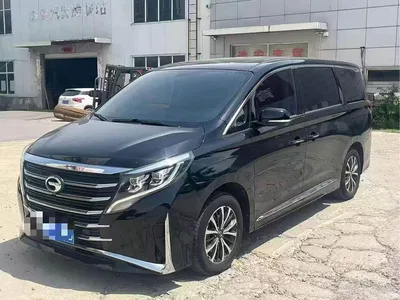 2023 GAC Trumpchi Trumpchi M8 Leading Series 390T Premium Edition, фото 1, лот 10420092