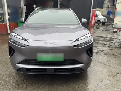 2025 BYD Sealion 06 New Energy DM-i 170 Pilot Pro Edition, фото 3, лот 10276783