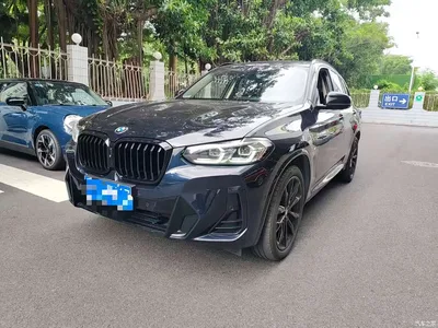 2023 BMW X3 xDrive30i Leading M Night Package, фото 1, лот 11134478