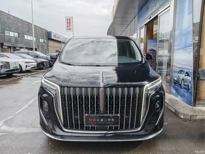 2023 Hongqi HQ9 2.0T Smart Connect Flag Smooth Edition, фото 2, лот 10287777