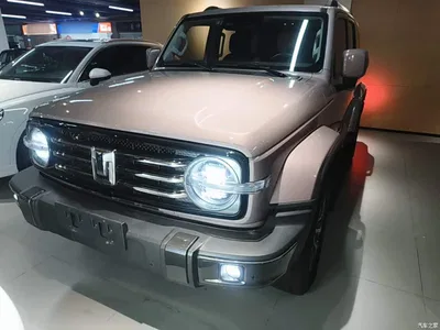 2021 Tank 300 Urban Edition 2.0T Stylish, фото 3, лот 10345486