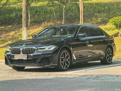 2021 BMW 5 Series 530Li Premium M Sport Package, фото 1, лот 10445975