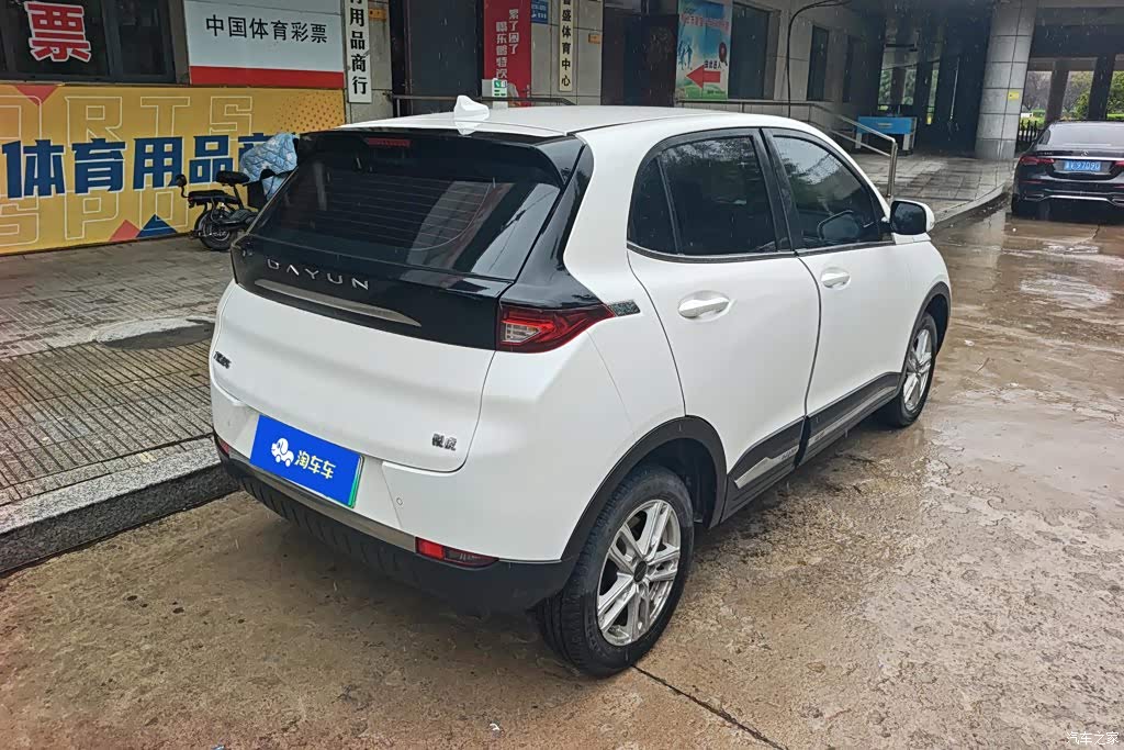 2022 Dayun Yuehu 300 Standard, фото 3, лот 10409892