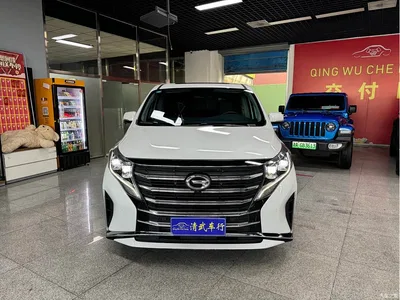 2023 GAC Trumpchi Trumpchi M8 Leading Series 390T Prestige Edition, фото 2, лот 10416537