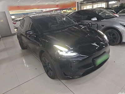 2023 Tesla Model Y Rear-Wheel Drive Edition, фото 4, лот 10370351