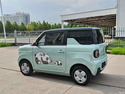 2023 Geely Galaxy Panda Mini 200km Endurance Bear, фото 4, лот 10430883