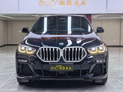 2020 BMW X6 xDrive40i Exclusive M Sport Package, фото 2, лот 10411071