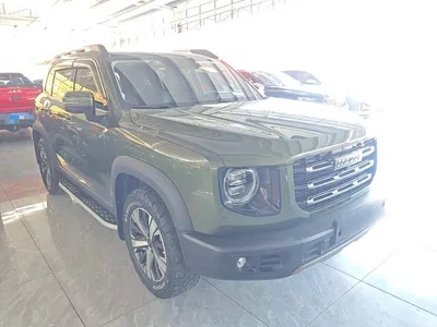 2022 Haval Big Dog 1.5T DCT FWD Labrador Edition, фото 4, лот 11216300