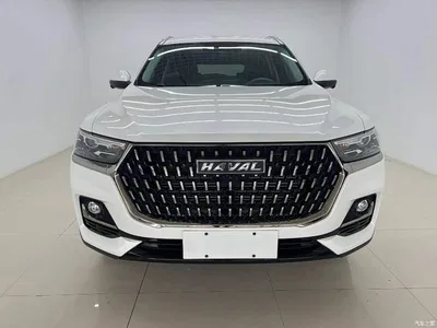 2023 Haval H6 National Trend Edition 1.5T Automatic Champion, фото 2, лот 11210552