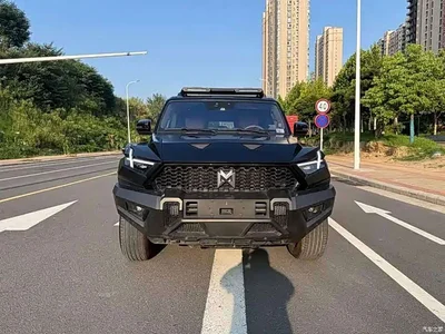 2023 Mengshi 917 Extended Range Base Version, фото 2, лот 11644008