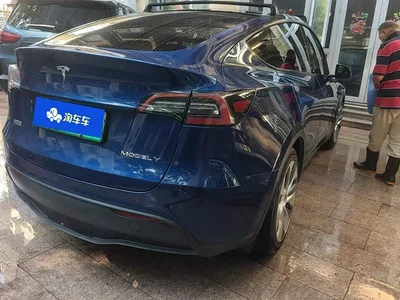 2021 Tesla Model Y Model Long Range AWD, фото 3, лот 11584669