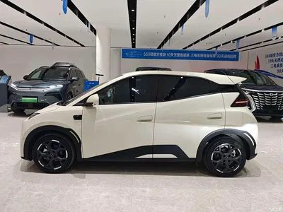 2025 BYD Seagull Smart Drive Edition 305km Freedom Version, фото 3, лот 11136779